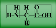 Biochemistry